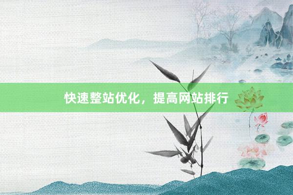 快速整站优化，提高网站排行